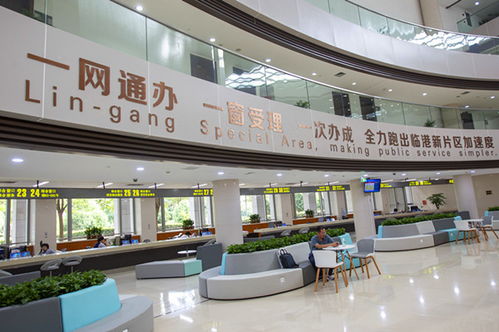 一網(wǎng)通辦 擬建會(huì)展統(tǒng)一服務(wù)窗口